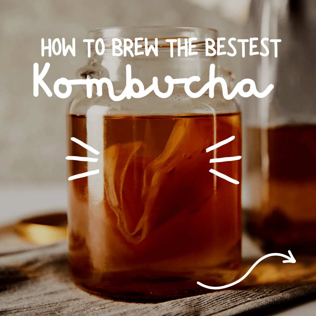 hur du brygger kombucha