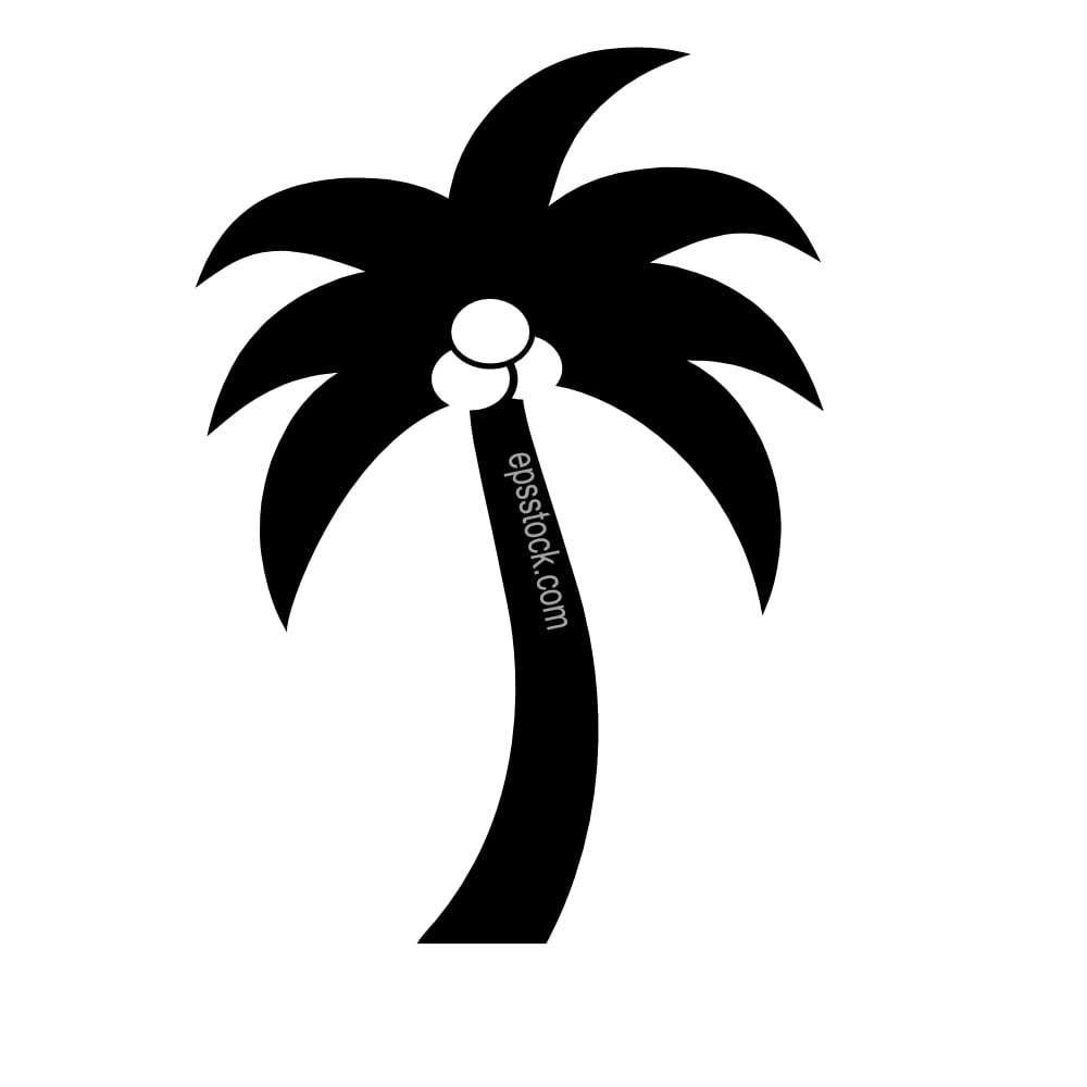 Coconut Tree