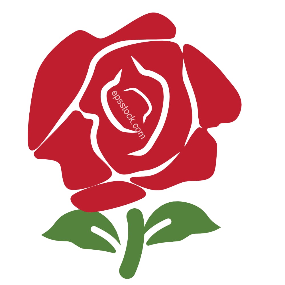 red Rose Logo