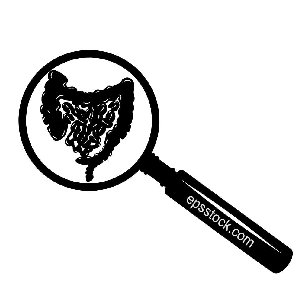 intestine examination