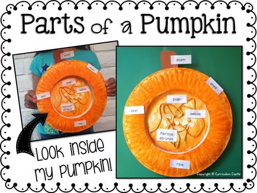 Pumpkin Investigation Unit: All About Pumpkins and Life Cycle