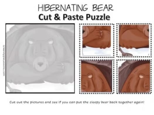 HIBERNATION Worksheets Activities Pre-K, Kindergarten ANIMALS IN WINTER