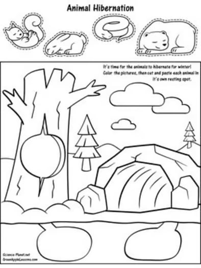 HIBERNATION Worksheets Activities Pre-K, Kindergarten ANIMALS IN WINTER