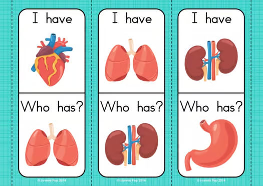 Body Parts: I Have, Who Has? Game