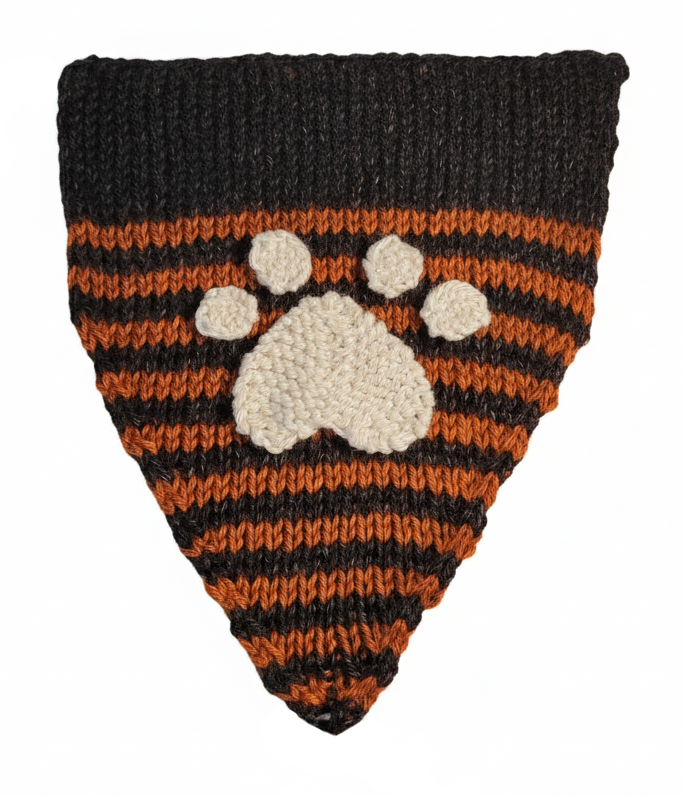 pet bandana