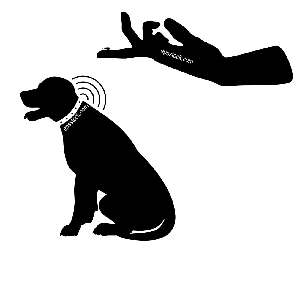 Dog microchip