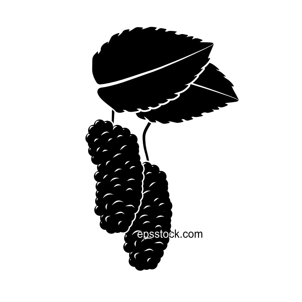 mulberry emblem