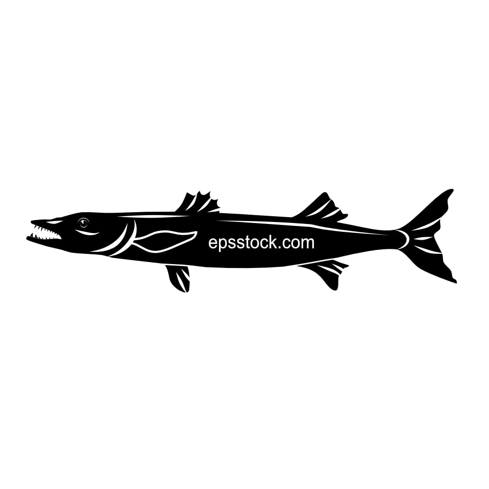barracuda fish