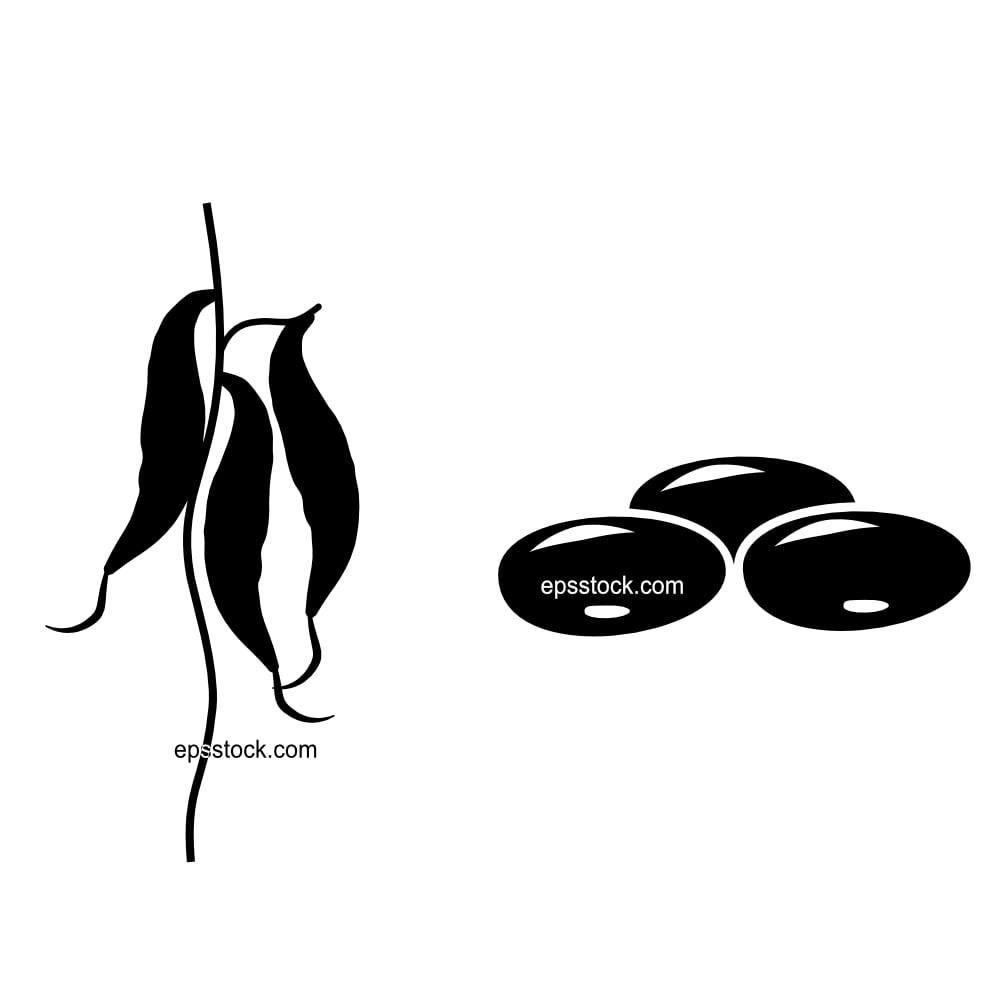 Velvet bean , mucuna