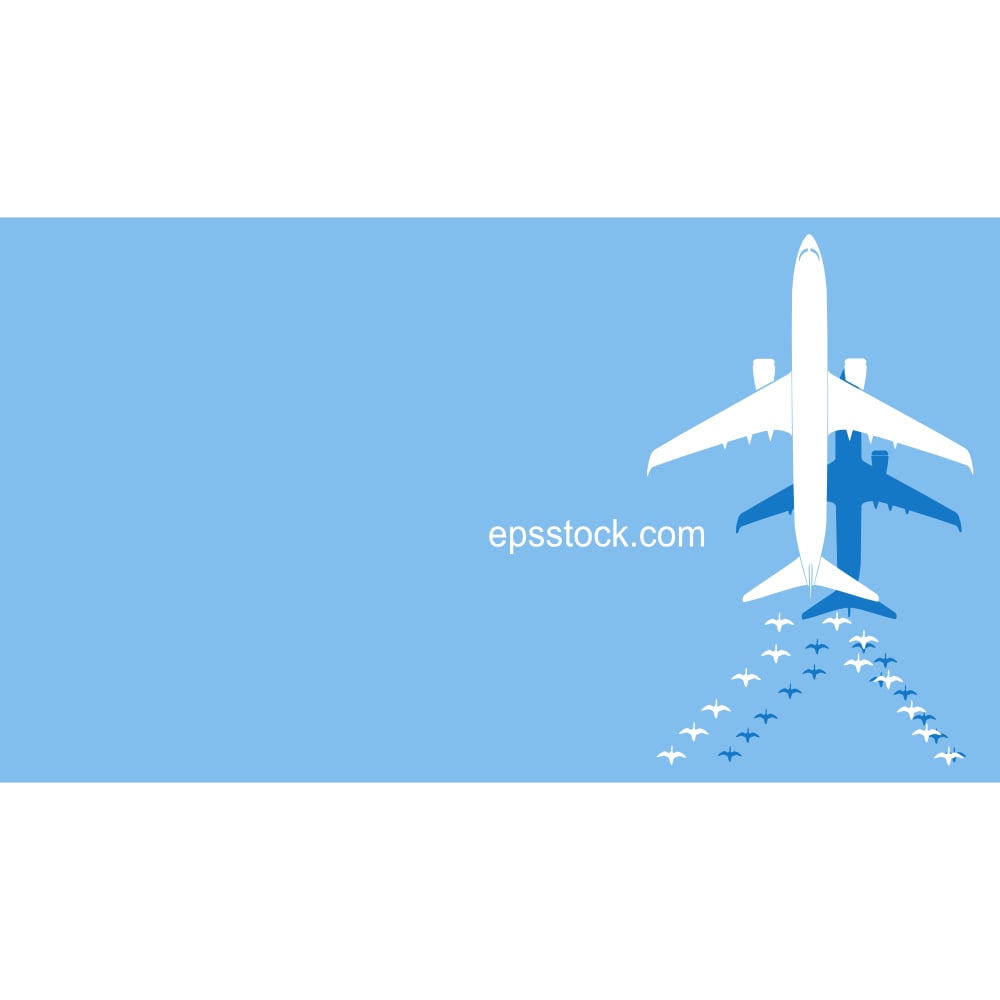 migratory birds and airplane