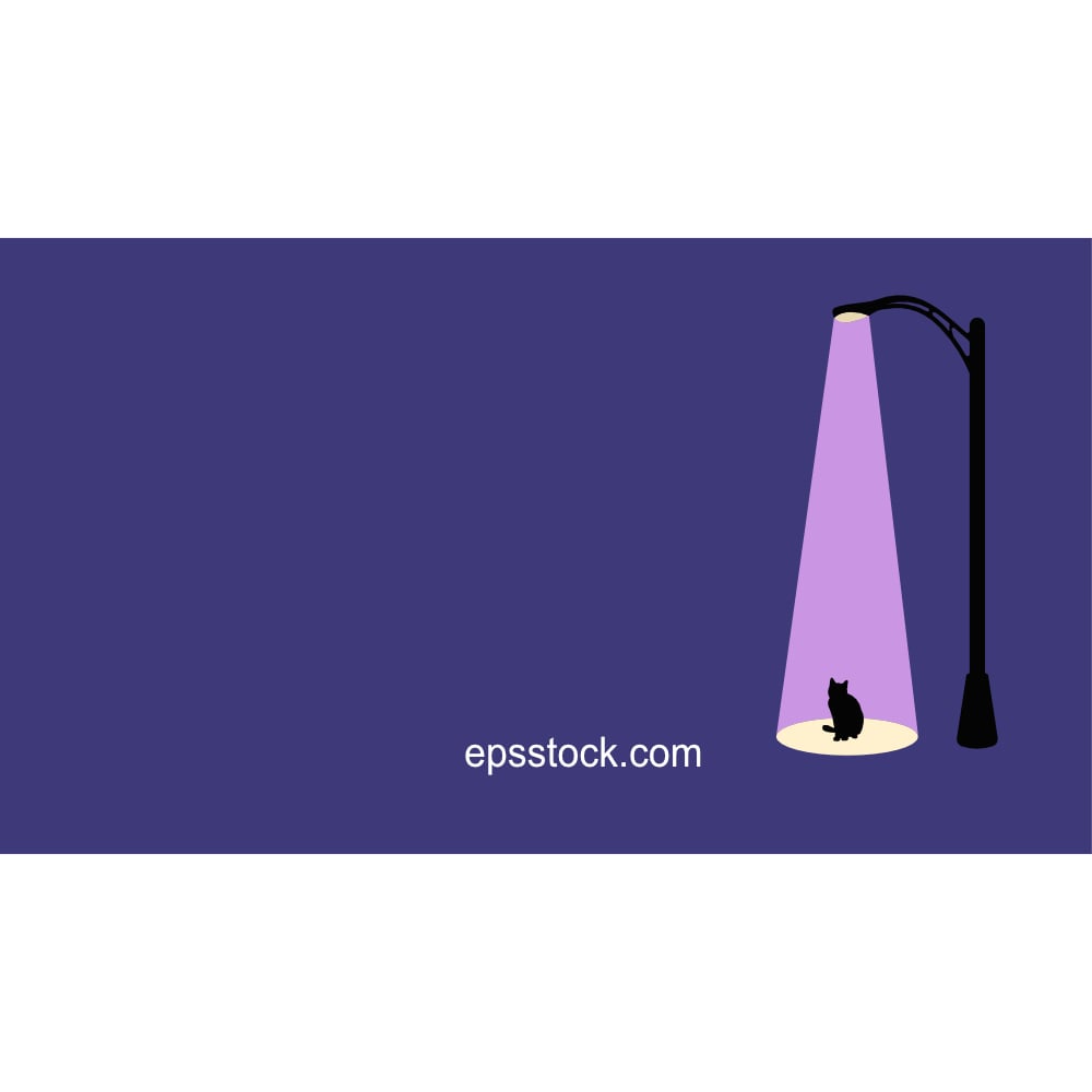 caring for homeless animals