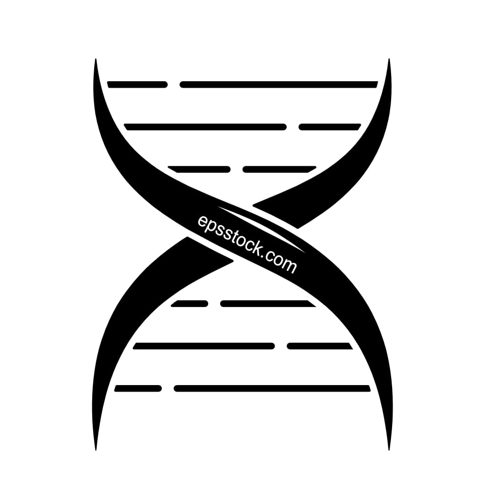 DNA molecules