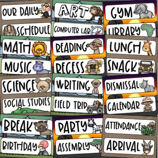 Daily Visual Schedule Cards for Classroom Agenda Jungle Safari Theme Editable
