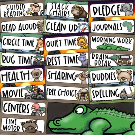 Daily Visual Schedule Cards for Classroom Agenda Jungle Safari Theme Editable