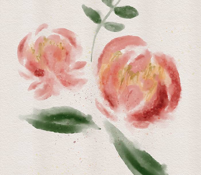 digital watercolor peonies painted in the Procreate app with custom watercolor brushea