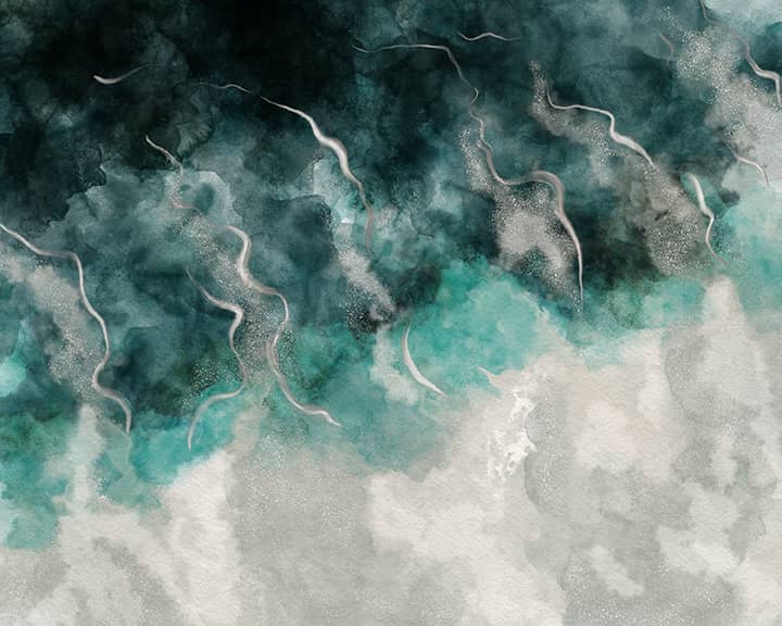 digital watercolor beach artwork made in the procreate app with custom brushes