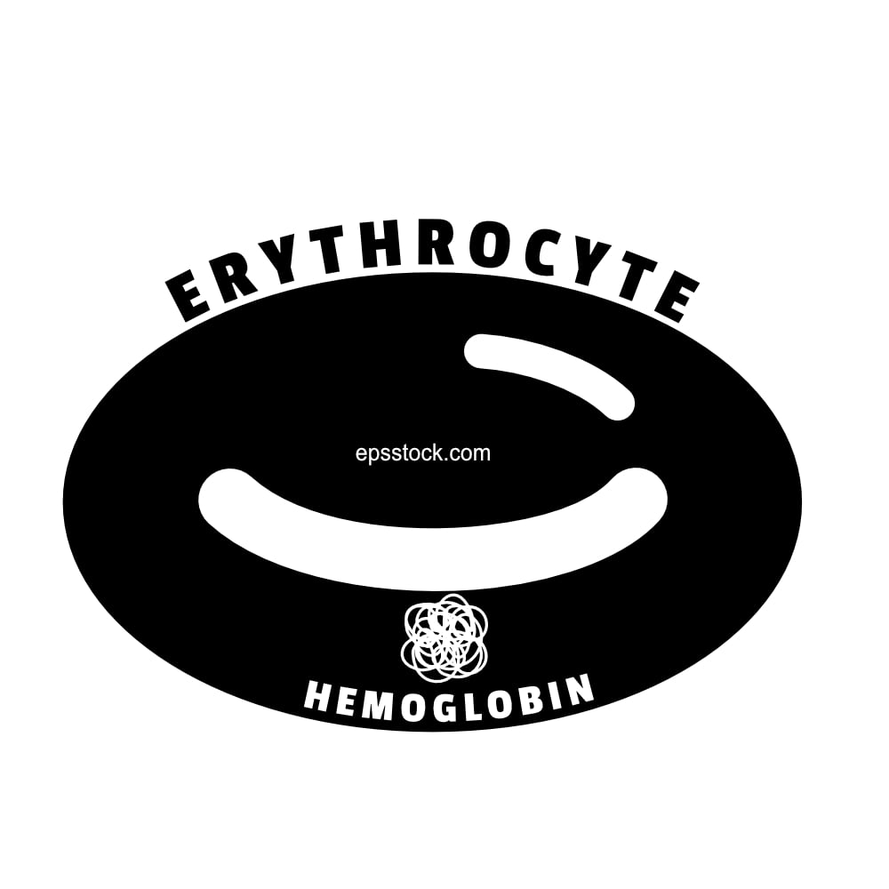 Hemoglobin