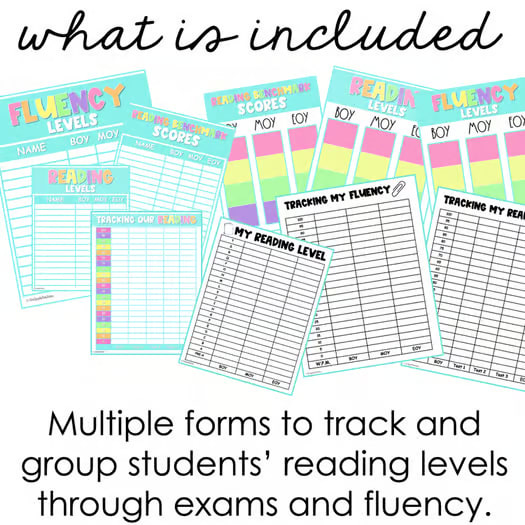 Guided Reading Schedule and Display | Reading Level & Test Tracker | Editable