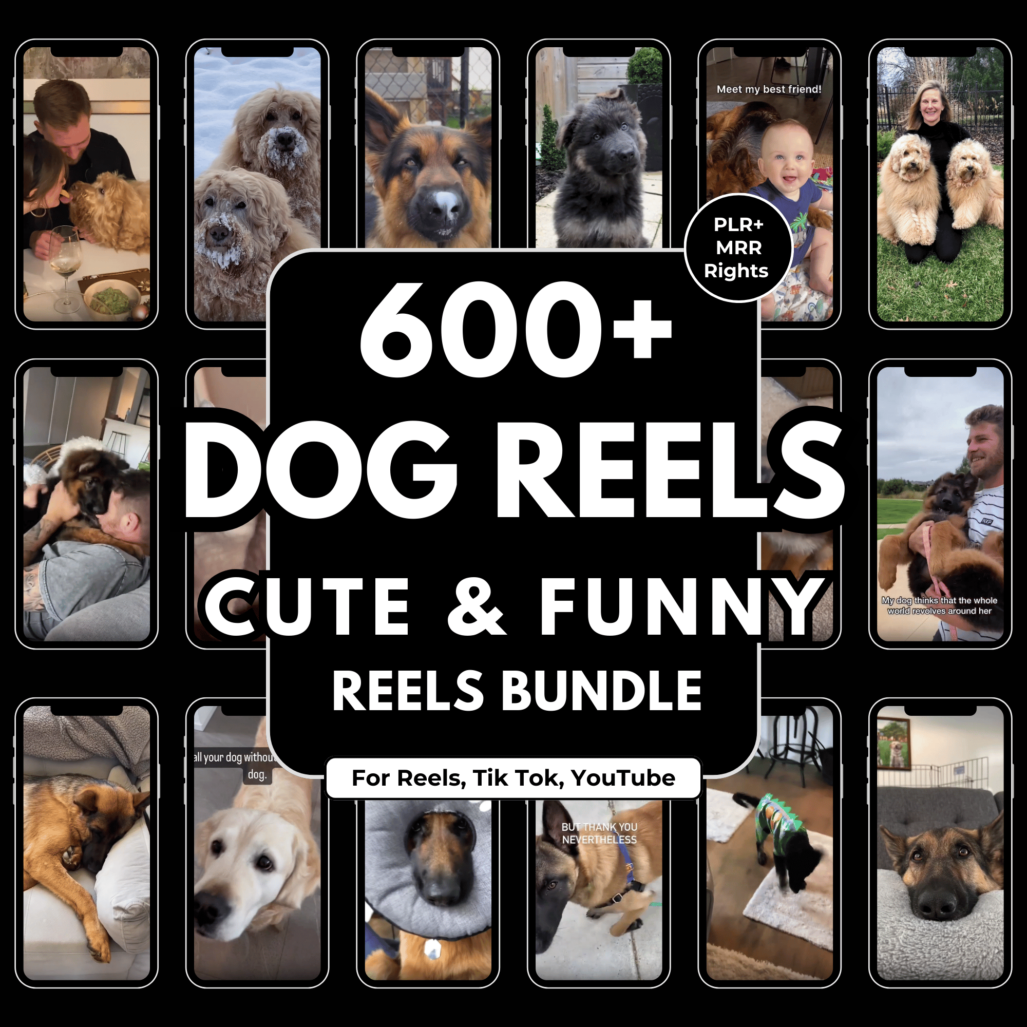 600 Cute and Funny Dog Reels Bundle Faceless Pet Videos for Viral ...