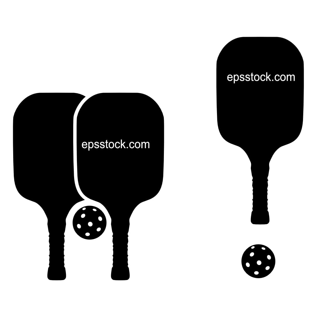 PickleBALL Racket With BALLS