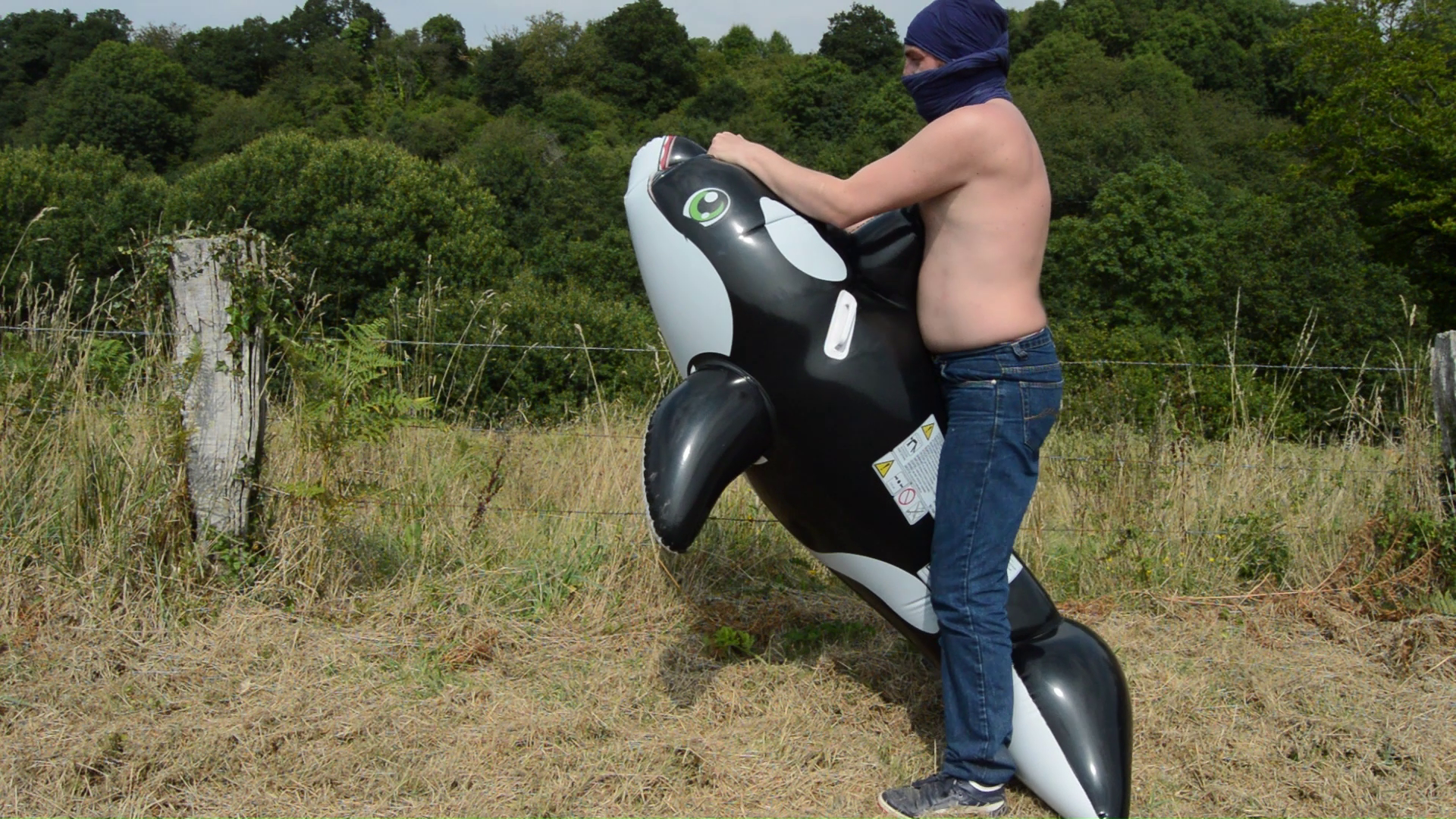 Inflatable Orca Riding INFLATABLE ORCA DESTRUCTION - Payhip