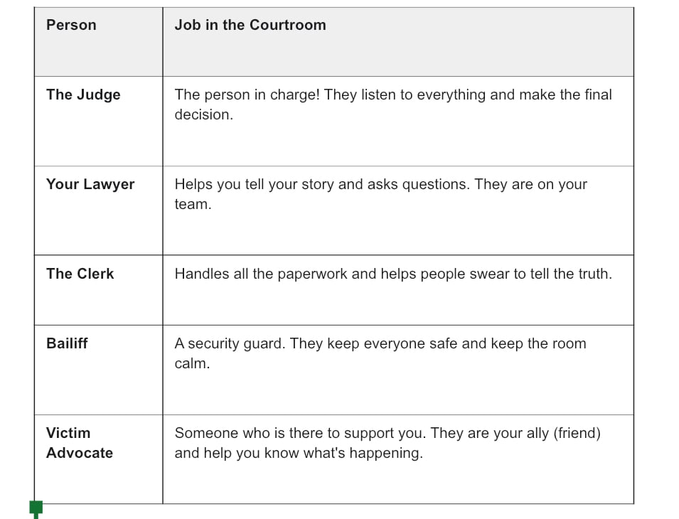 courtroom roles explained, trauma informed, court education, victim advocate role, survivors in court, understanding the legal system, third life consulting resources, domestic violence court support, designed for survivors and clients navigating the court process in a trauma informed way.