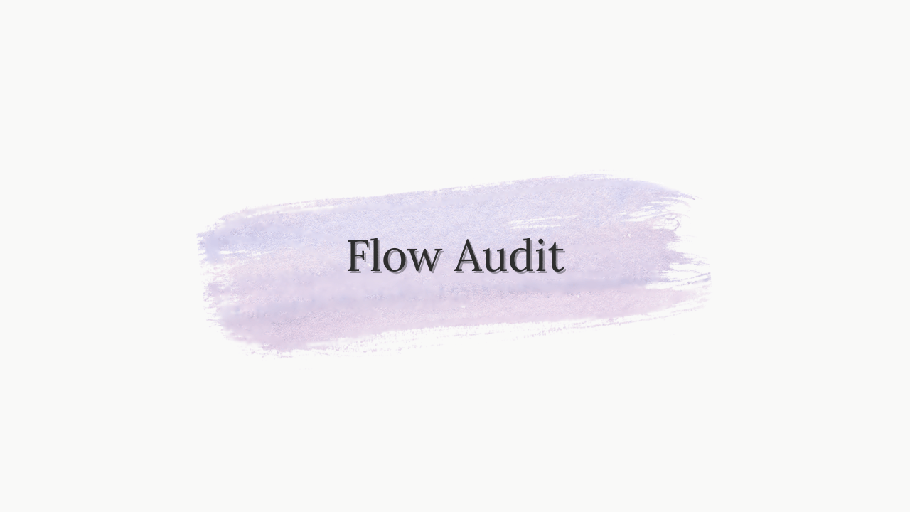 Flow Audit - Payhip
