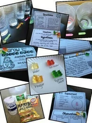Grow Your Own Polar Bear Science | Gummy Bear Experiment