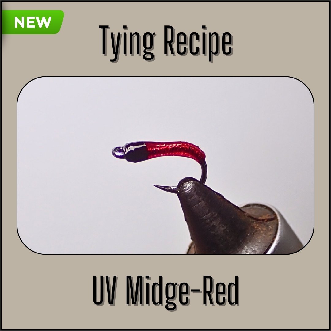 Red UV Midge tying recipe, a simple modern trout nymph designed by Matt Campbell (The Fly Guy).