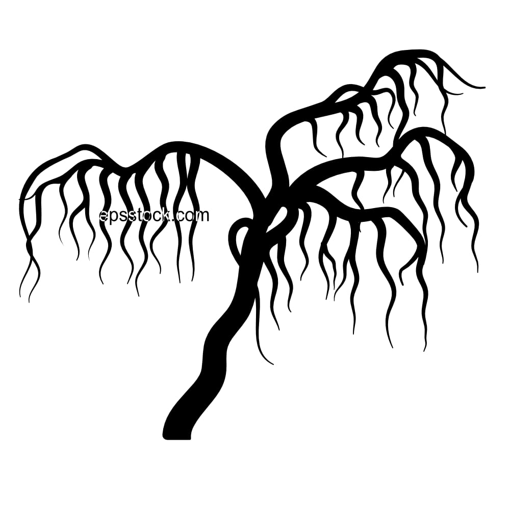 Weeping Willow Bonsai Tree