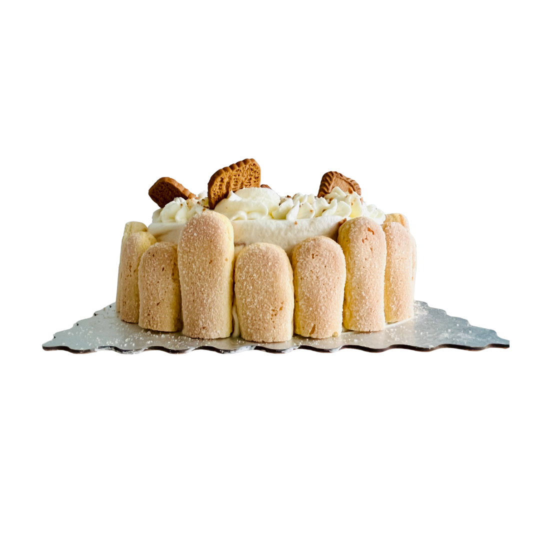 Biscoff Tiramisu Cake
