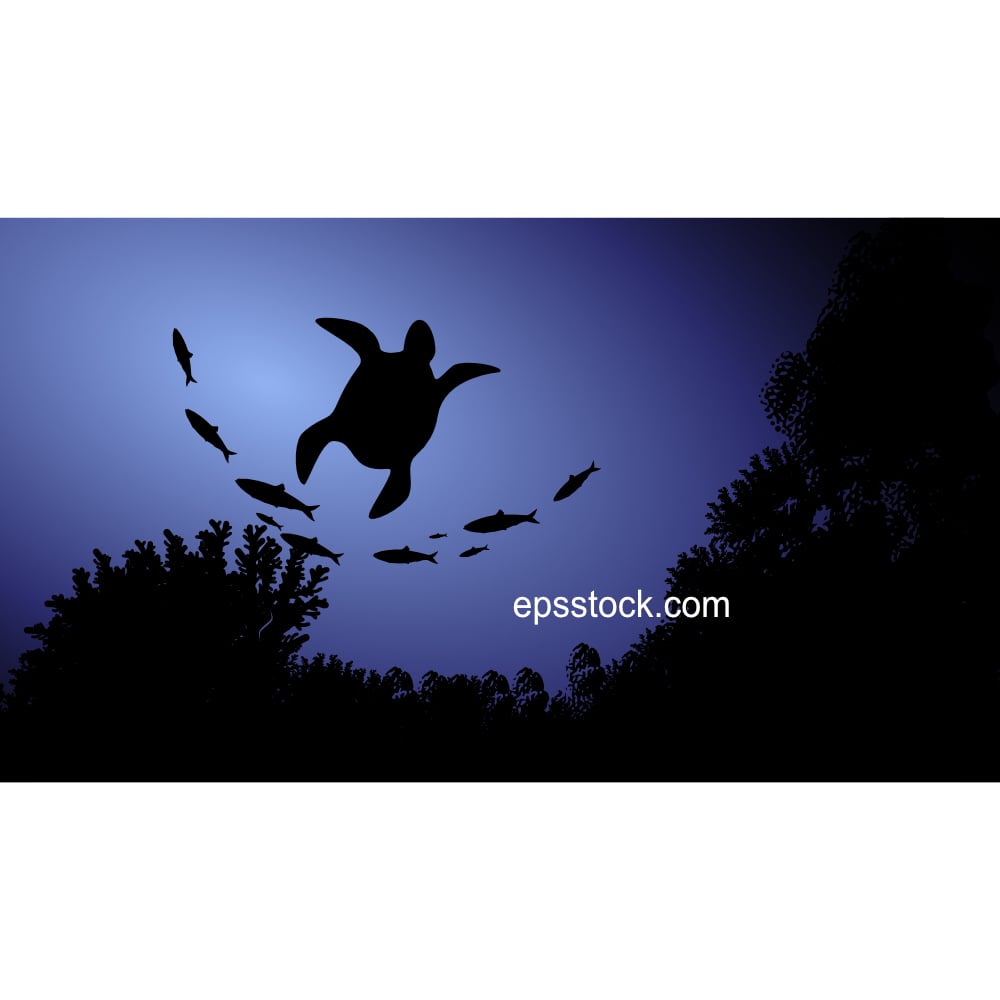 Sea turtle in the ocean