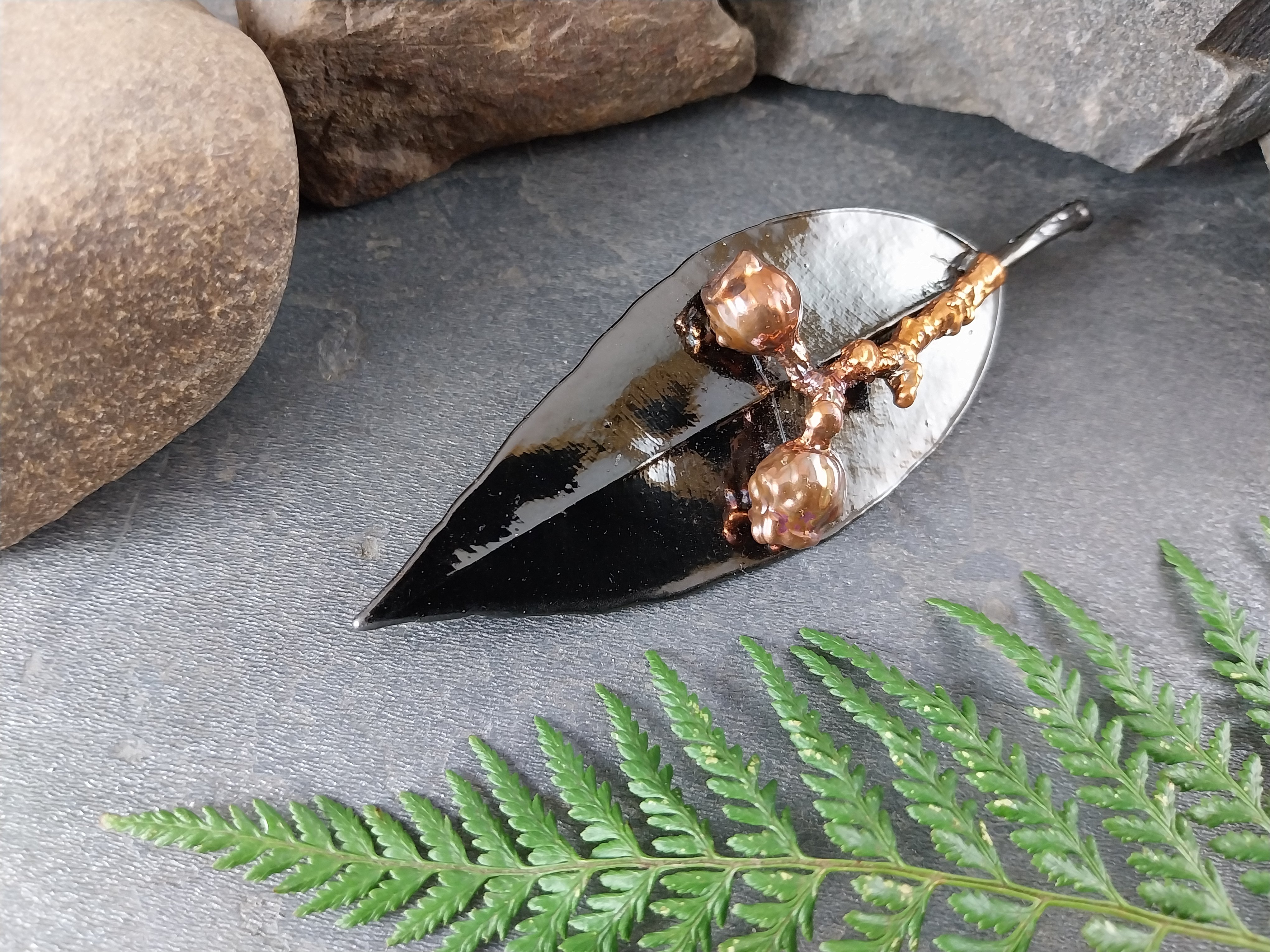 Leaf Seed Pod Shell