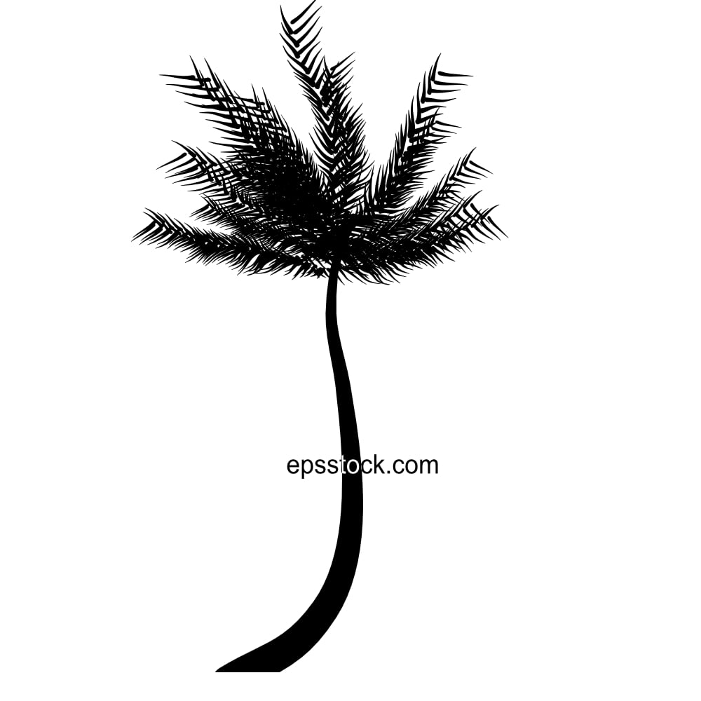 palm tree
