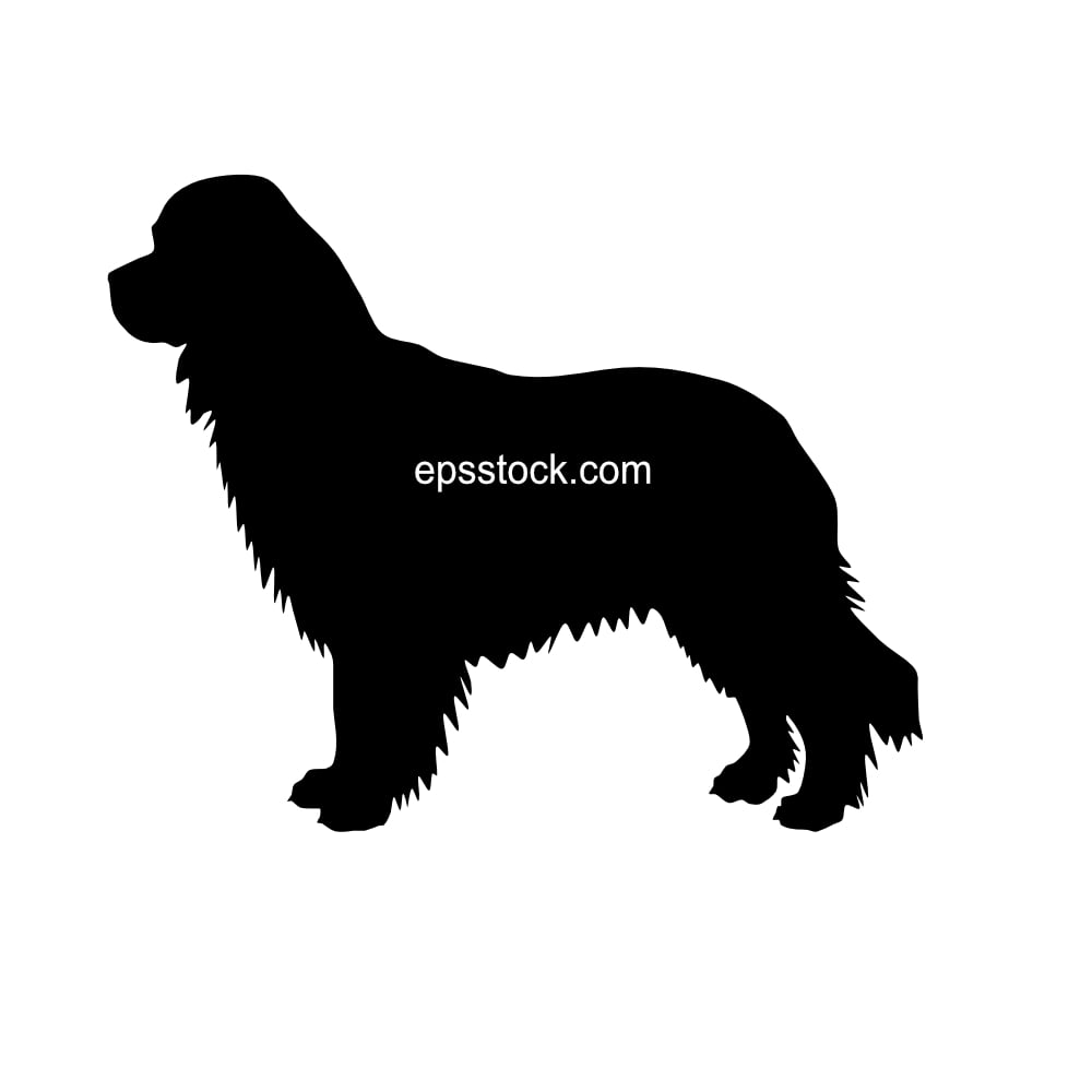 Newfoundland dog