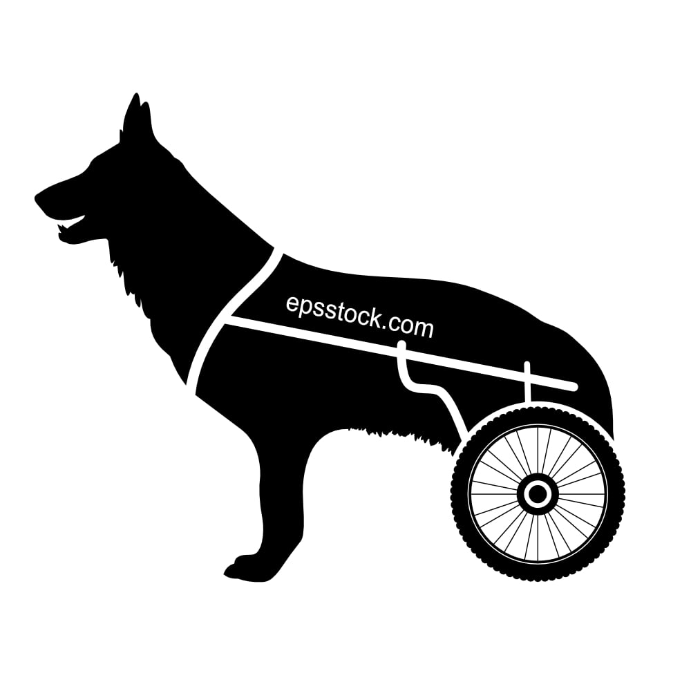 Paralyzed dog on wheelchair cart