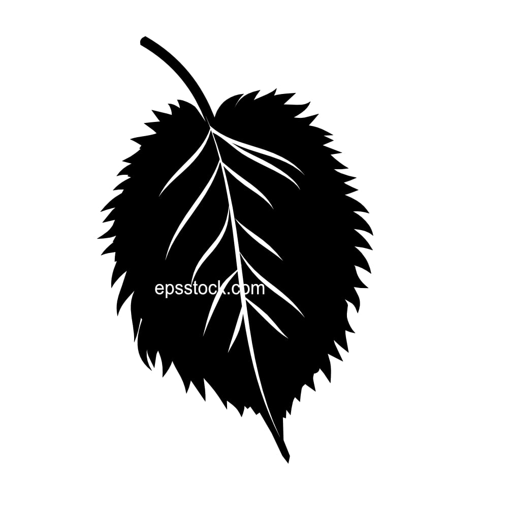 Dove tree leaf, black isolated silhouette
