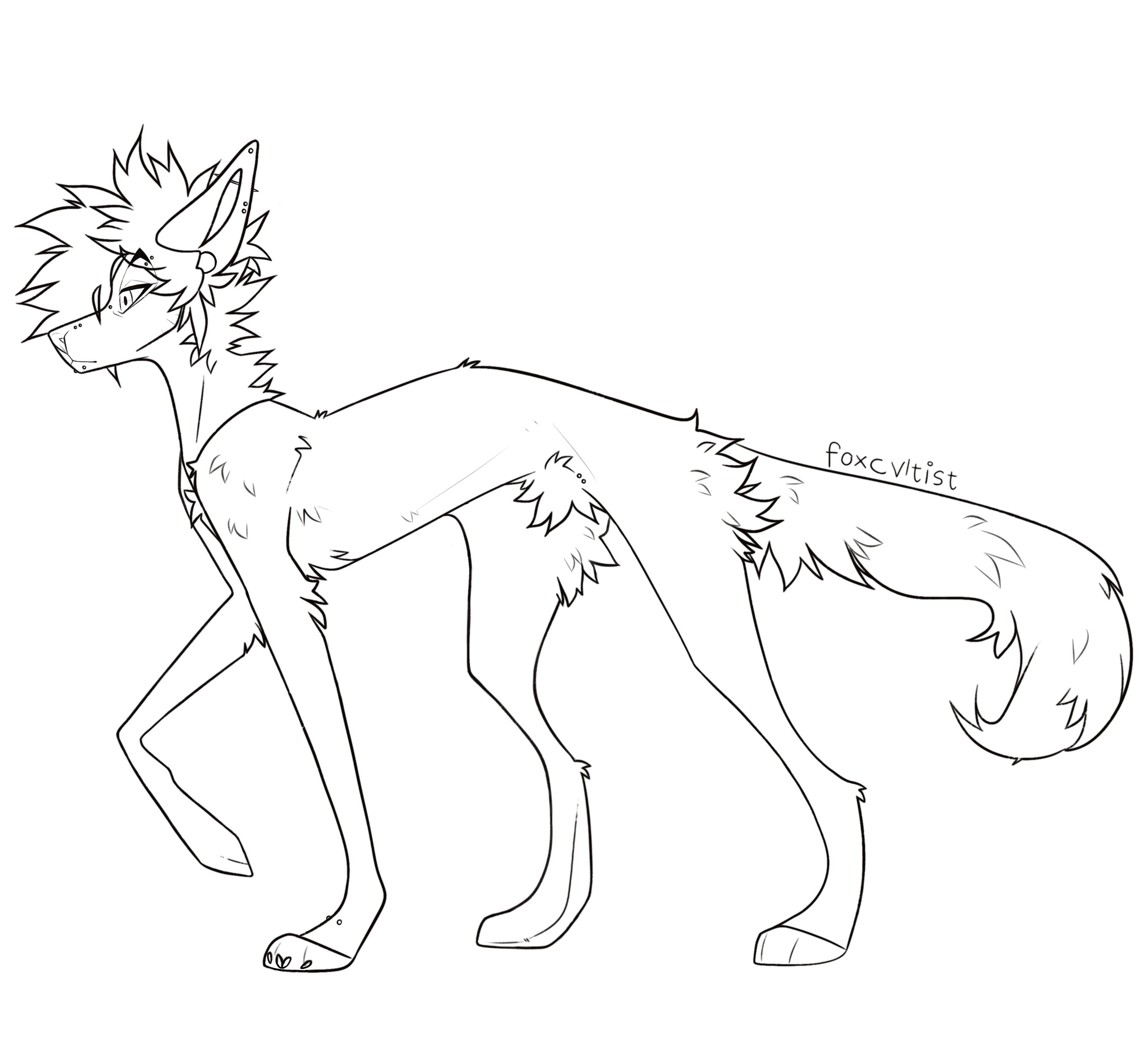 Canine Base (simple) - Payhip