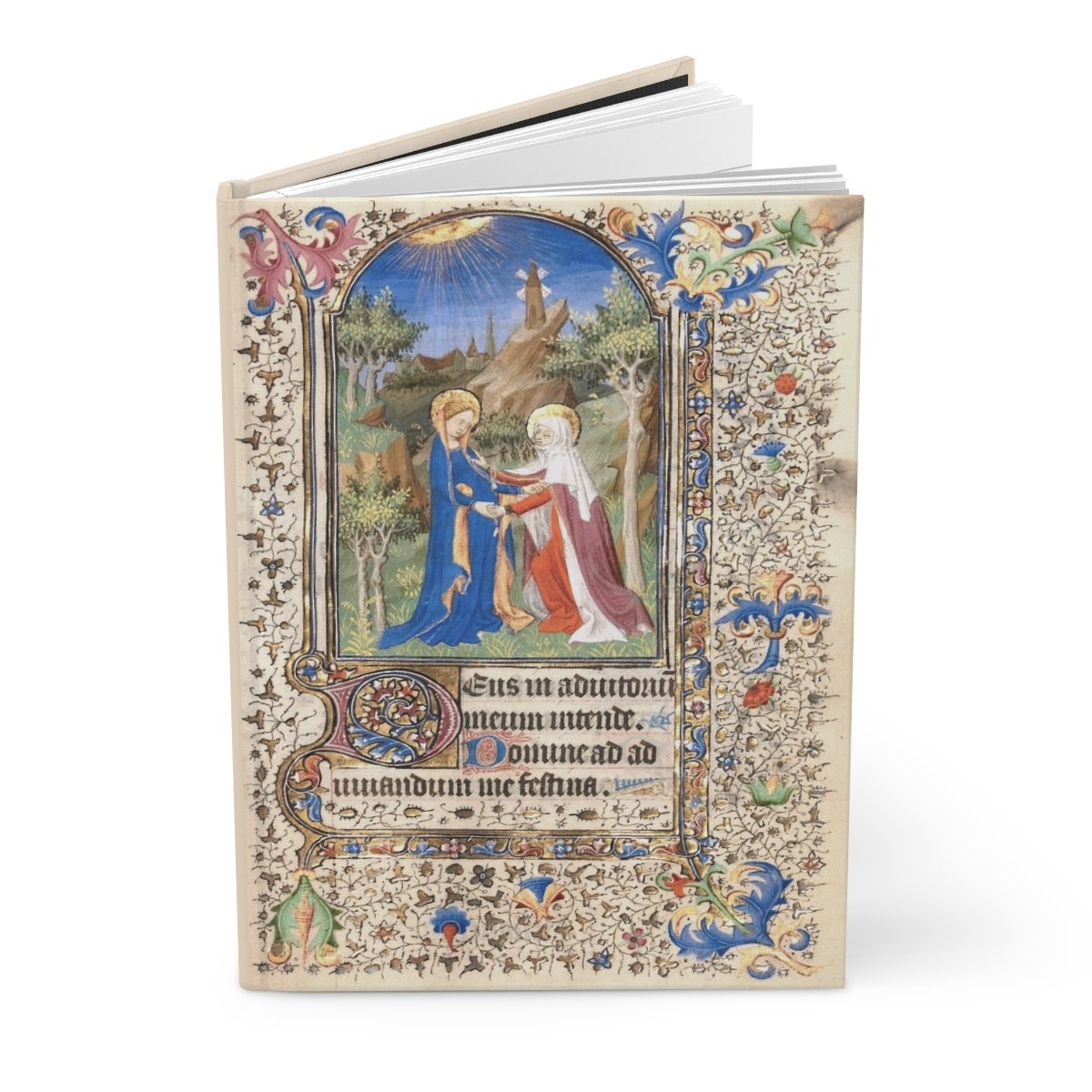 15th-century Book of Hours Visitation miniature surrounded by ornate medieval marginalia