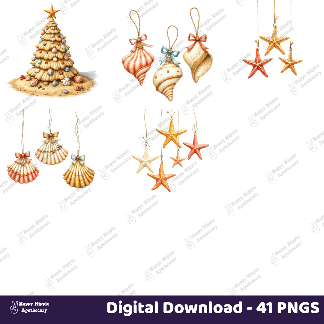 Close-up preview of starfish and seashell ornament PNGs for tropical Christmas sublimation, part of 41 PNG beach holiday clipart pack