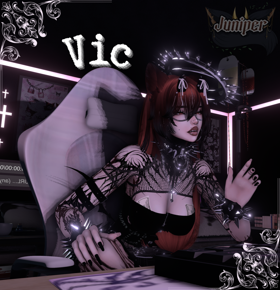 Vic (Pc/Quest/Gogoloco)