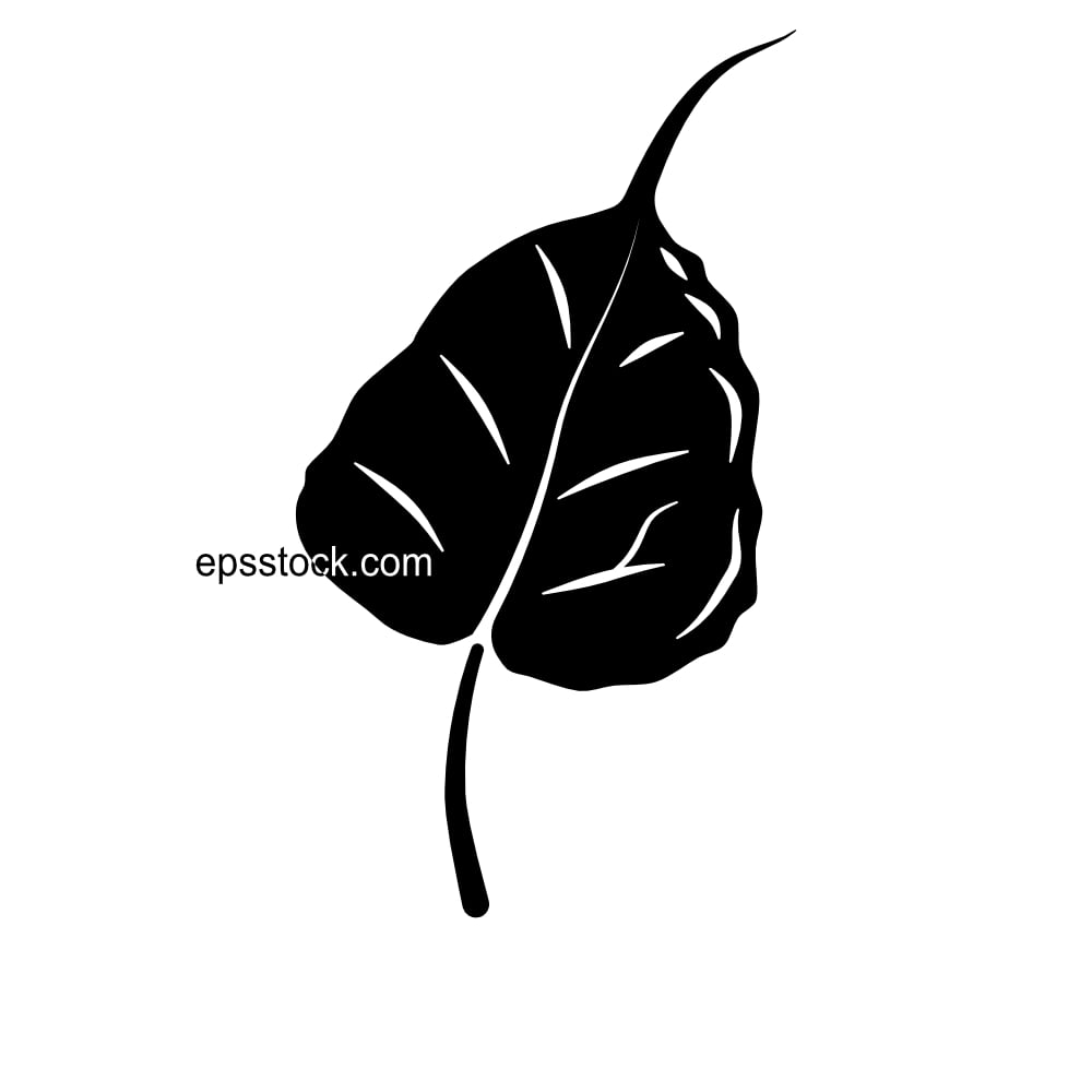 ficus religiosa leaf