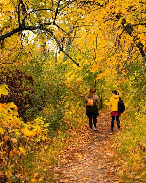 Two women walking together through autumn woodland