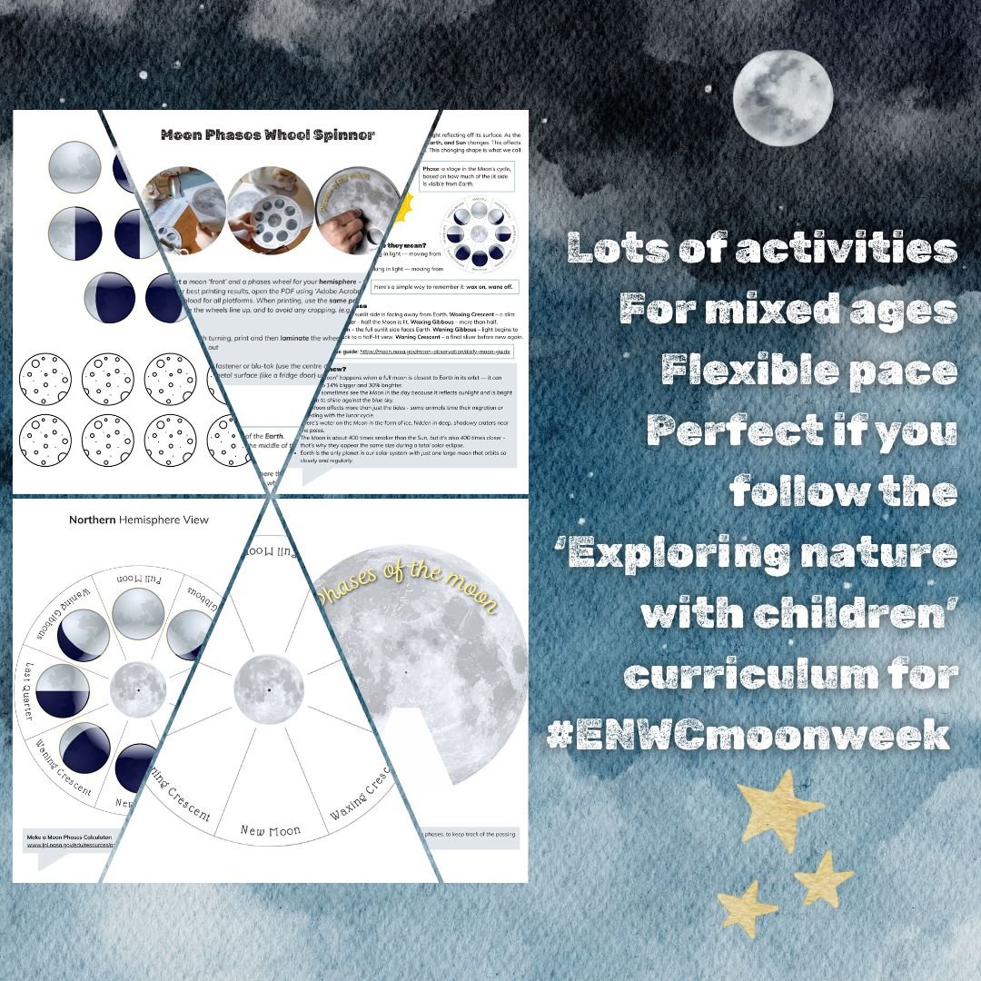Learn moon phases craft