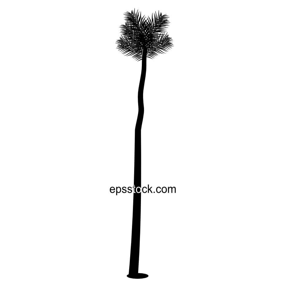 High Palm Tree