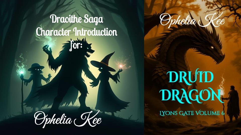 Druid Dragon Character Introduction