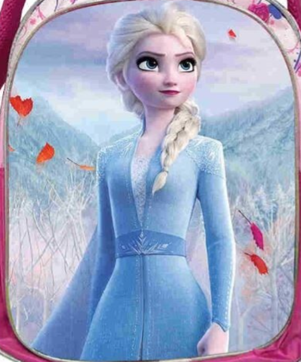 Pink Frozen-Inspired Backpack for Girls | 36cm | School Use