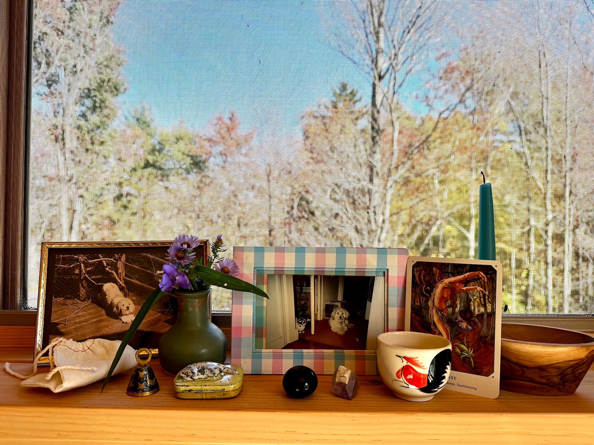 Animal Communication Course