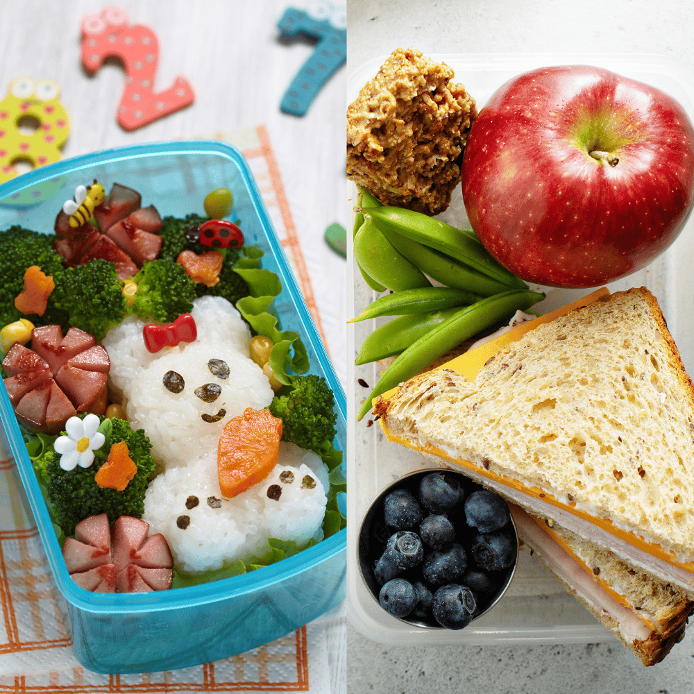 Lunch box for kids. Mothervert.com