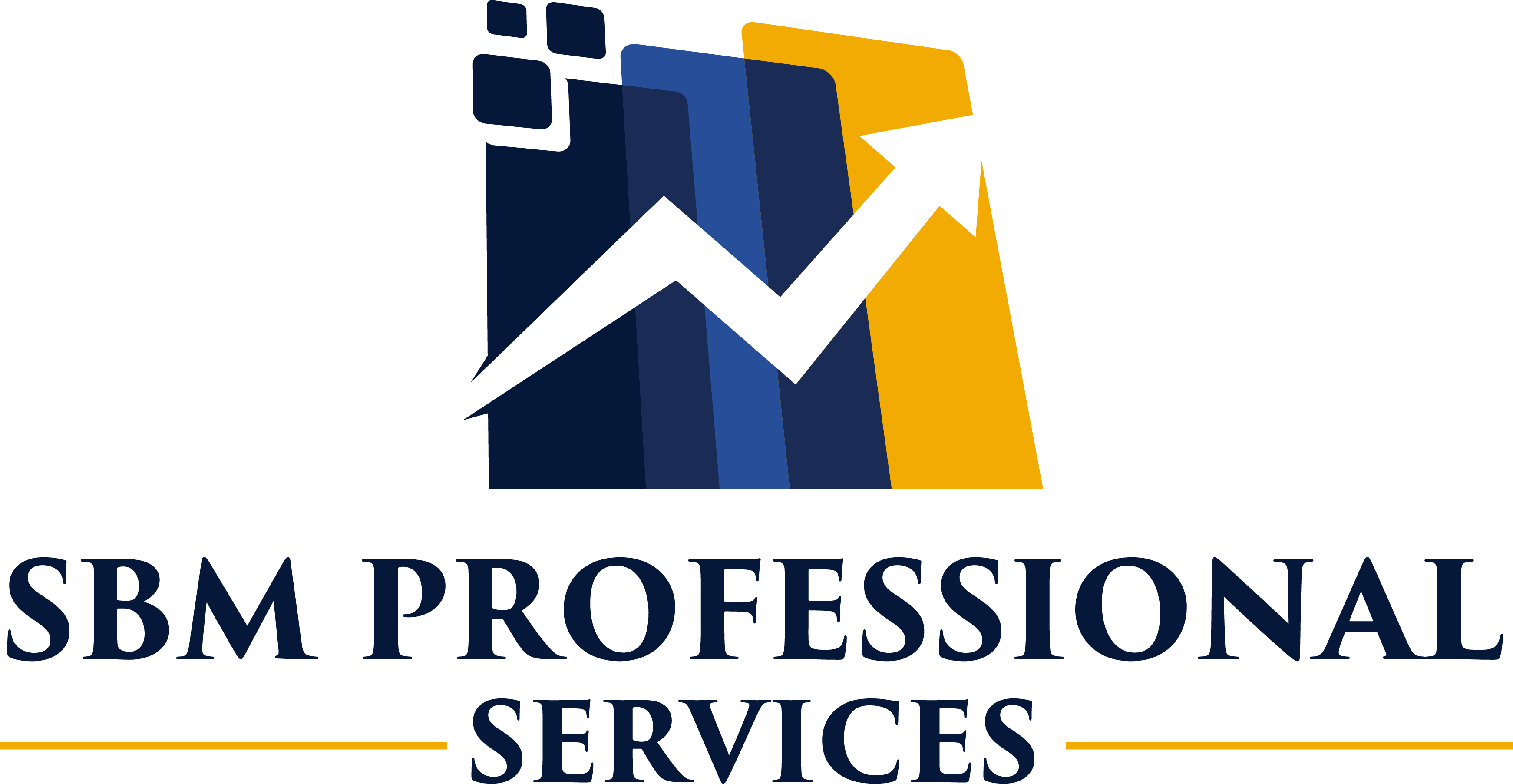 SBM Professional Services - Payhip